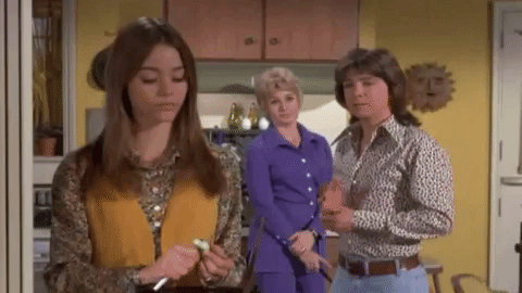 left wing political blogs and partridge family